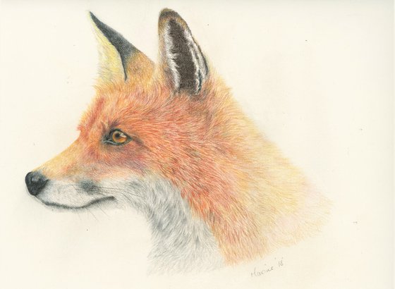 Fox