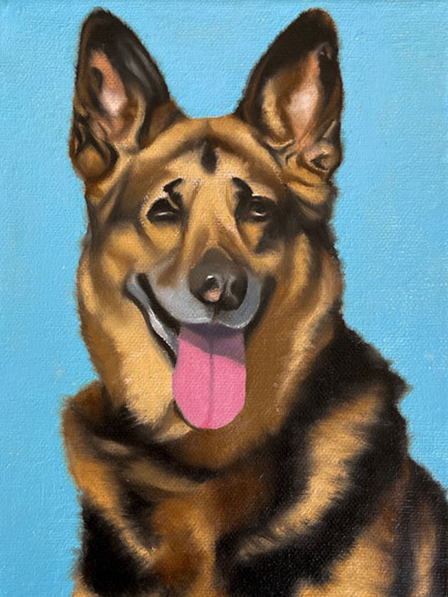 A German Shepherd by Jason M Silverman