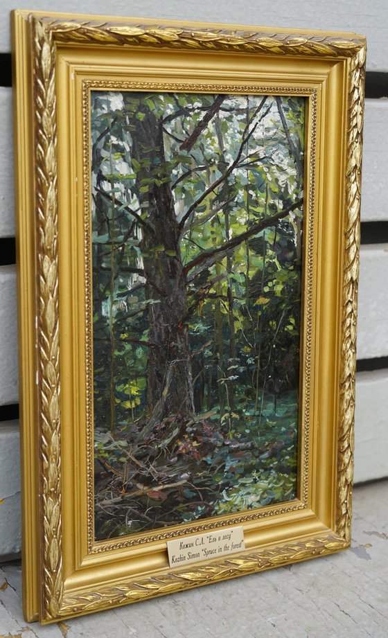 Forest. Fir-tree. Karmanovo