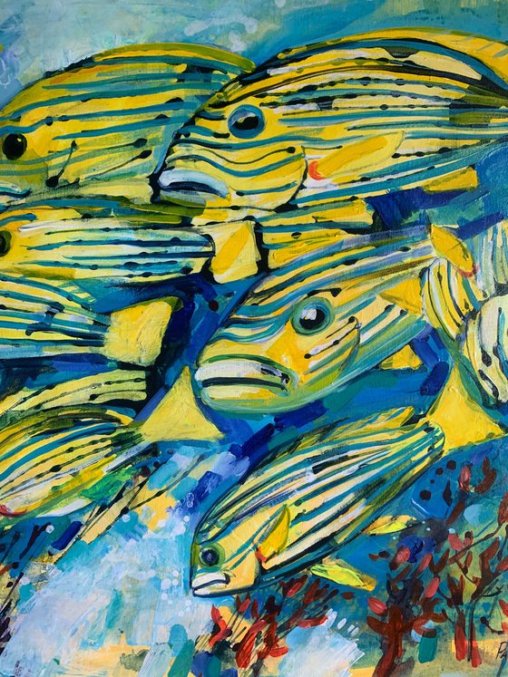 Caribbean fish