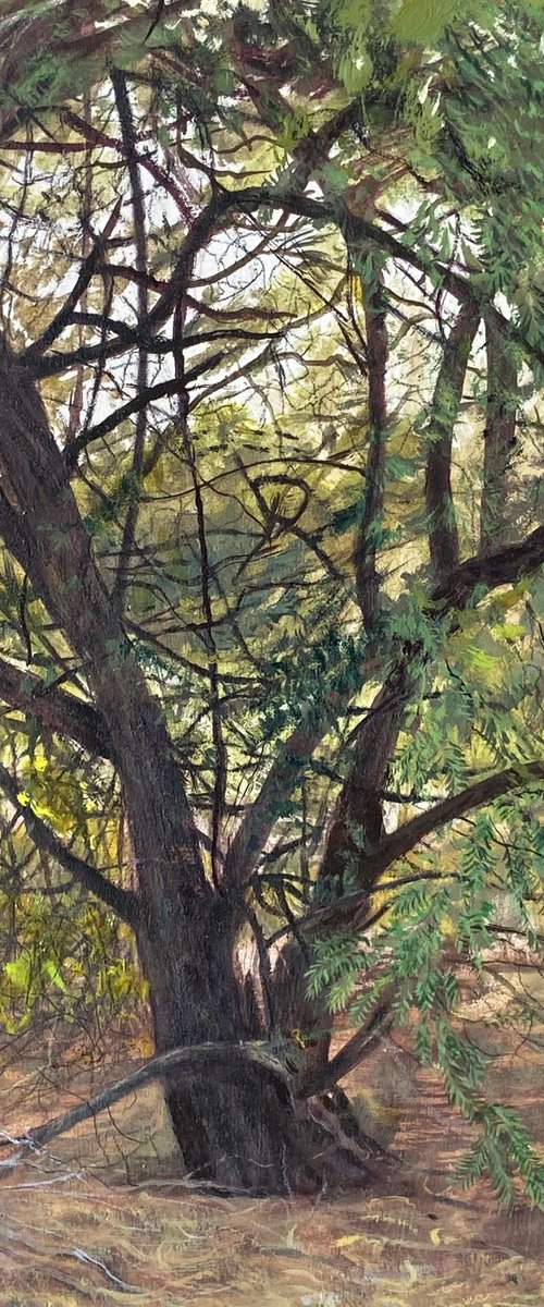Green Tree by Mazen Ghurbal