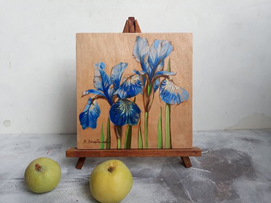 Blue irises