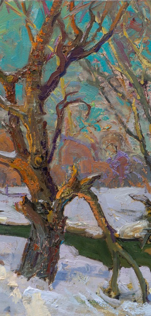 Trees near Stryzhen. January by Victor Onyshchenko