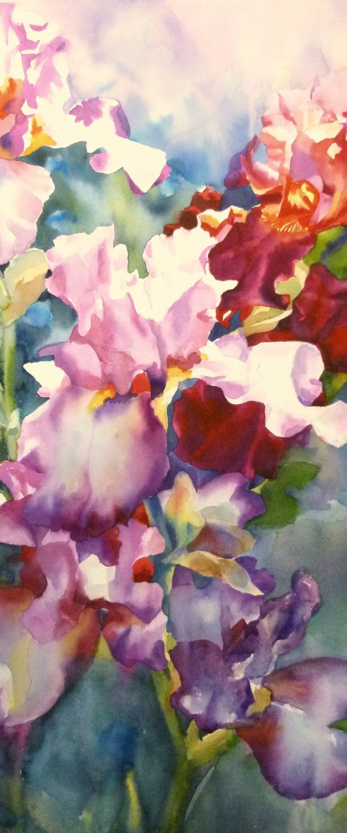 Colorful irises by Yuryy Pashkov