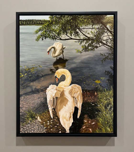 Swans at the Lake (50x40 cm)