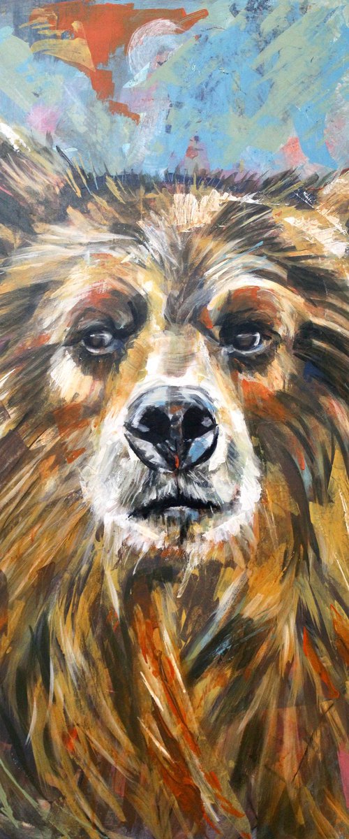 Bear Glare by Victoria Coleman