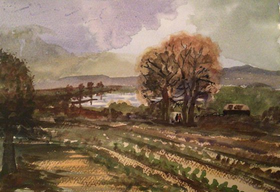 Autumn Trees