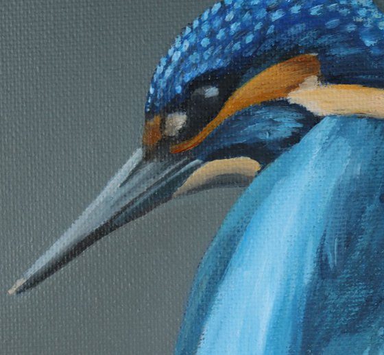 Kingfisher, Bird Artwork, Animal Art Framed