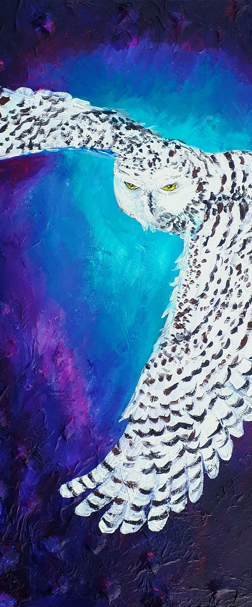 "Night owl" by Marily Valkijainen