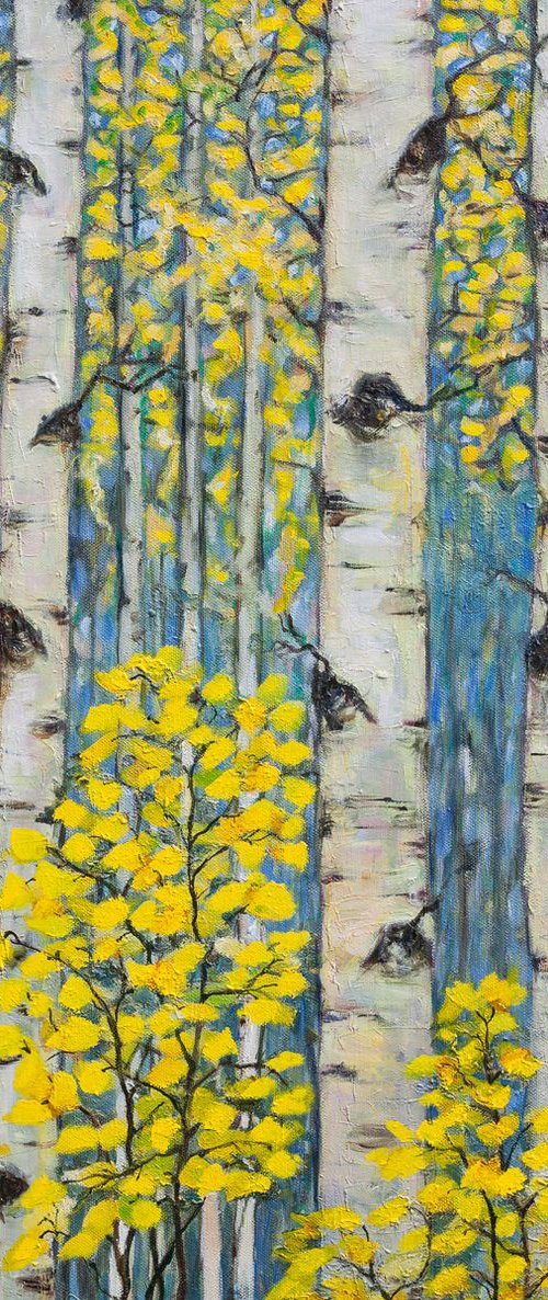 Colorado Aspens by Liudmila Pisliakova