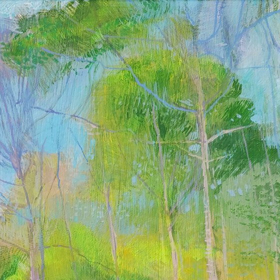 Woodland Walk