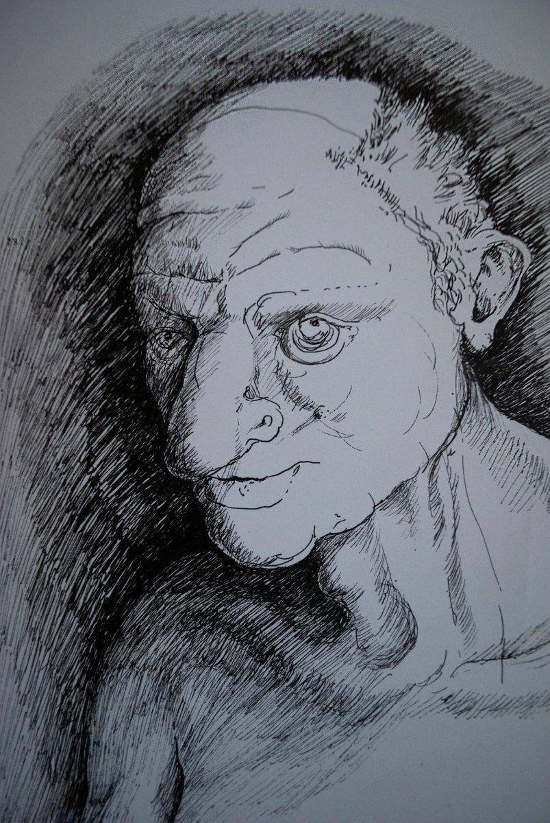 Illustrative Ink Drawing , The Conspirator - Grotesque By Nikola Ivanovic, 8 X 12, Artwork For Sale On Artfinder