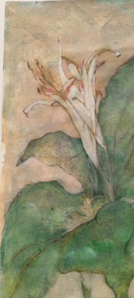 Lilies in Chinoiserie