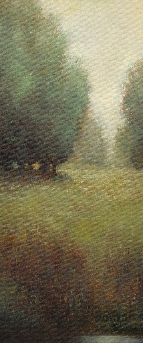 Soft Green Field 191122 by Don Bishop