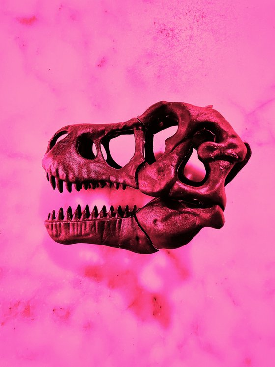 ABC#207 T-Rex #4