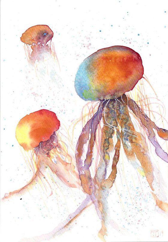 Colorful jellyfish