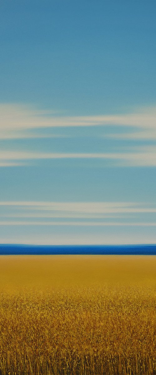 Summer Wheat Field by Suzanne Vaughan