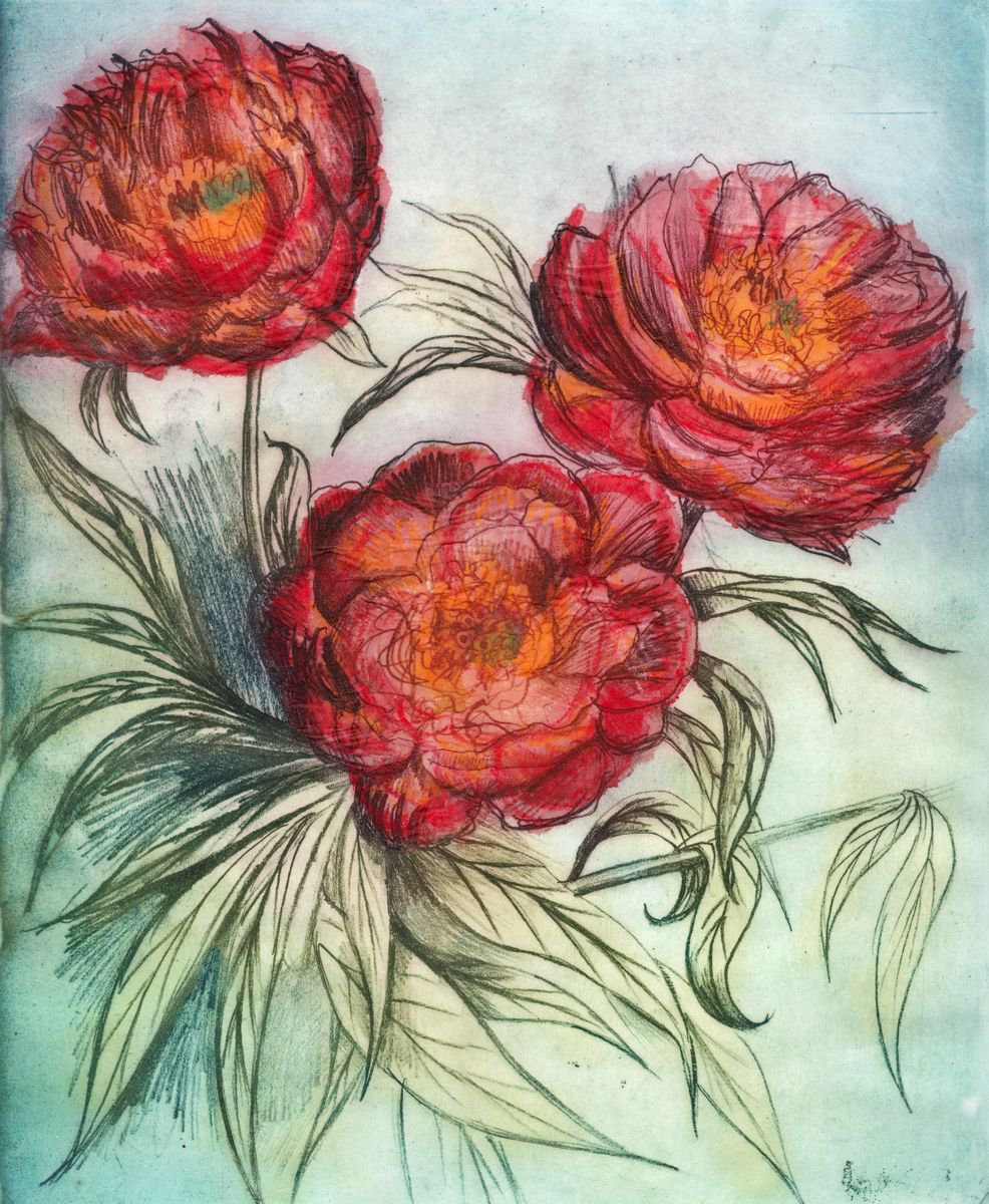 Peonies by Marian Carter