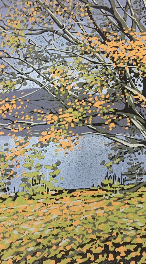 Grasmere Tree by Alexandra Buckle