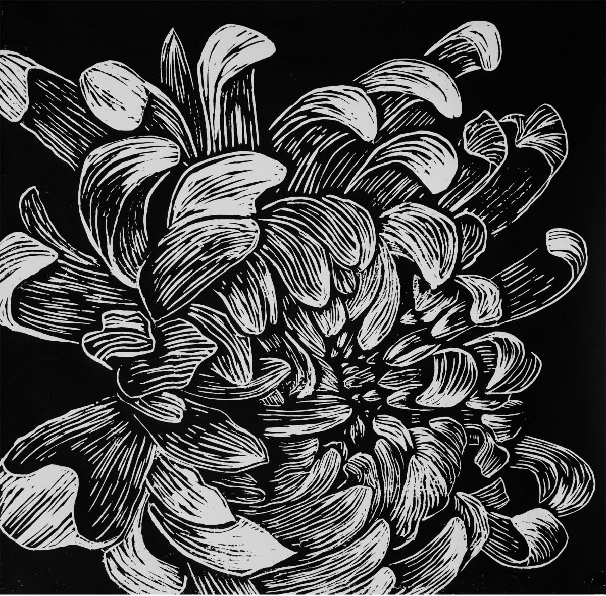 Black chrysanthemum 6x9 linocut print