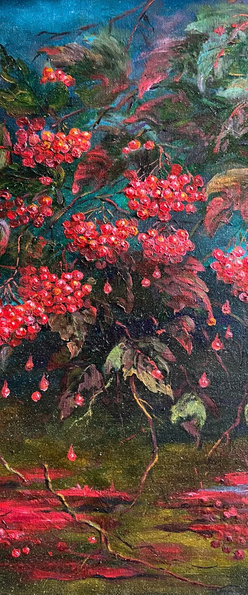 Red viburnum by Galyna Shevchencko