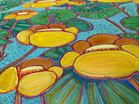 Yellow water Lilies