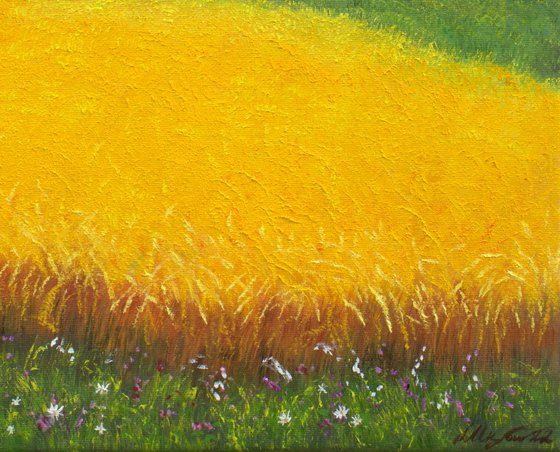 Sunrise at the wheat field