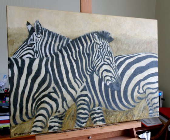 Zebras