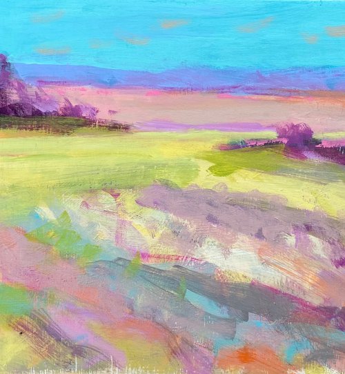 The Long View by Chrissie Havers