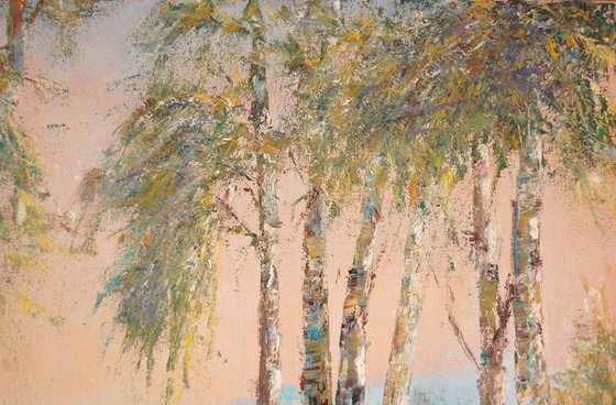 Birch trees at sunset