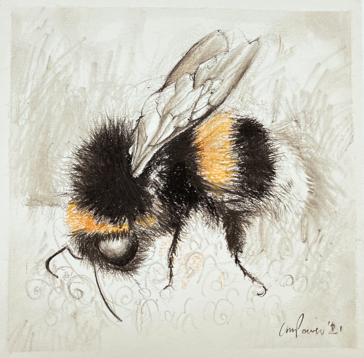 Bumblebee #03 charcoal drawing on paper - 210mm x 210mm by Luci Power