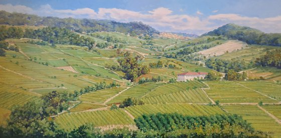 View of Monforte d'Alba