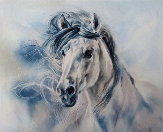 Portrait of a white stallion