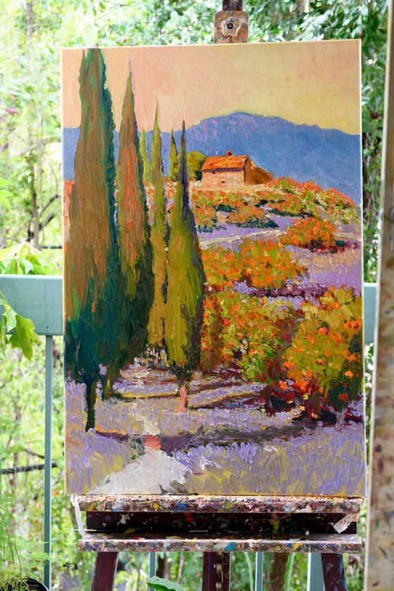 Through the Orange Grove