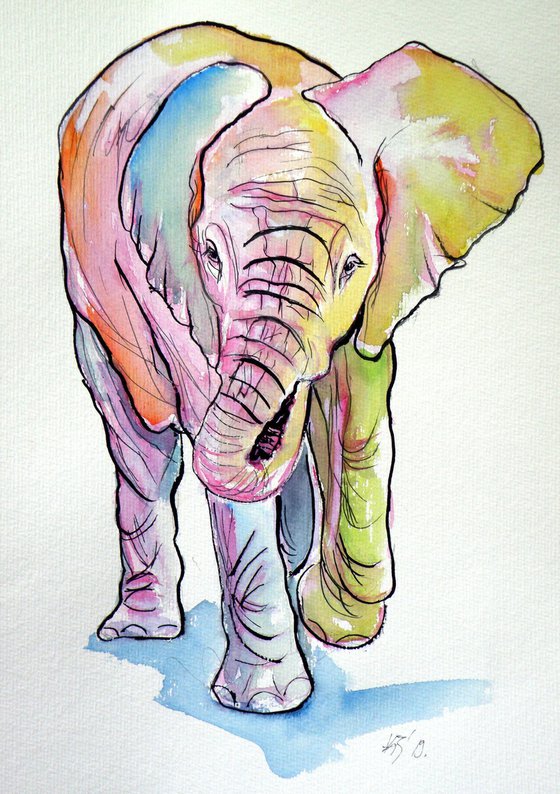 Elephant baby