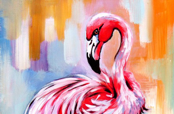 Flamingo