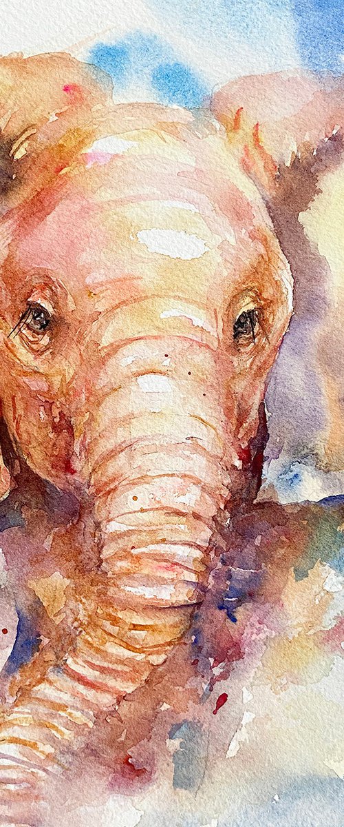 Baby Elephant Nikita by Arti Chauhan