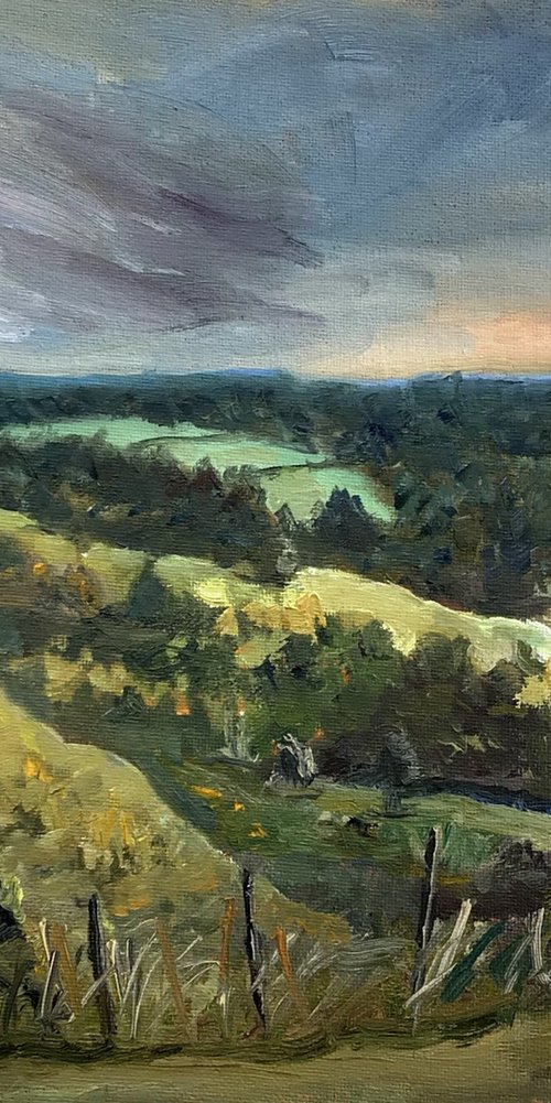 View from Wye Downs, Kent An original oil painting on canvas board. by Julian Lovegrove Art