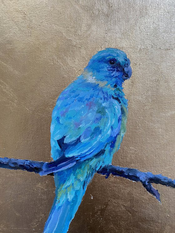 A blue parrot