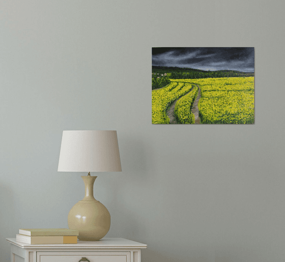 Rapeseed fields