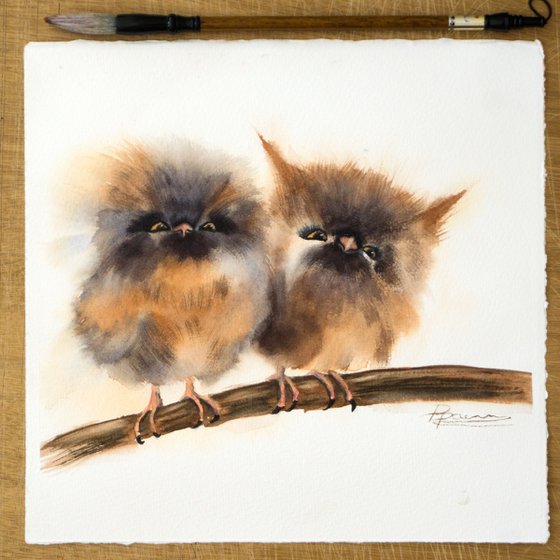 Two babies owl on the branch