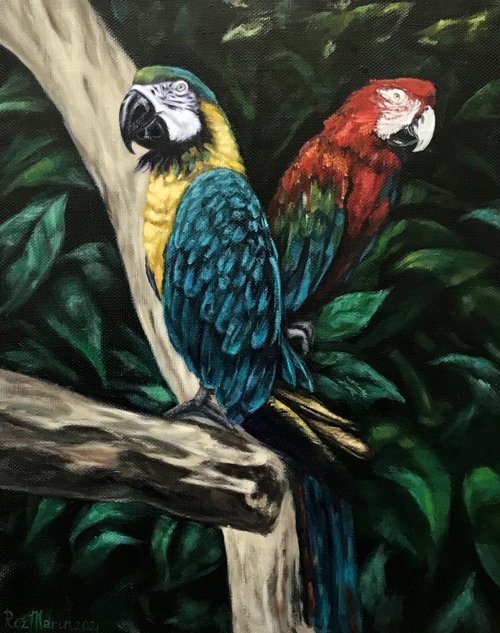 Parrots in the jungle by Marina Deryagina