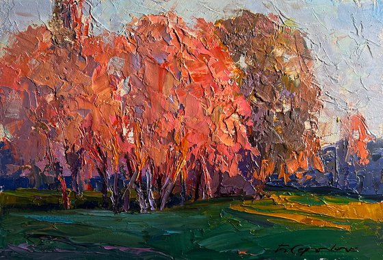 Autumn Evening in the Forest