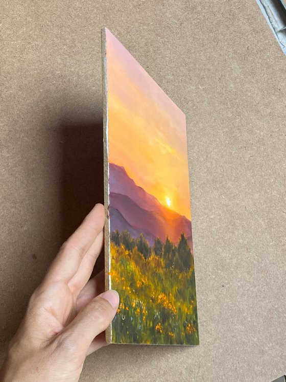 California golden hour landscape