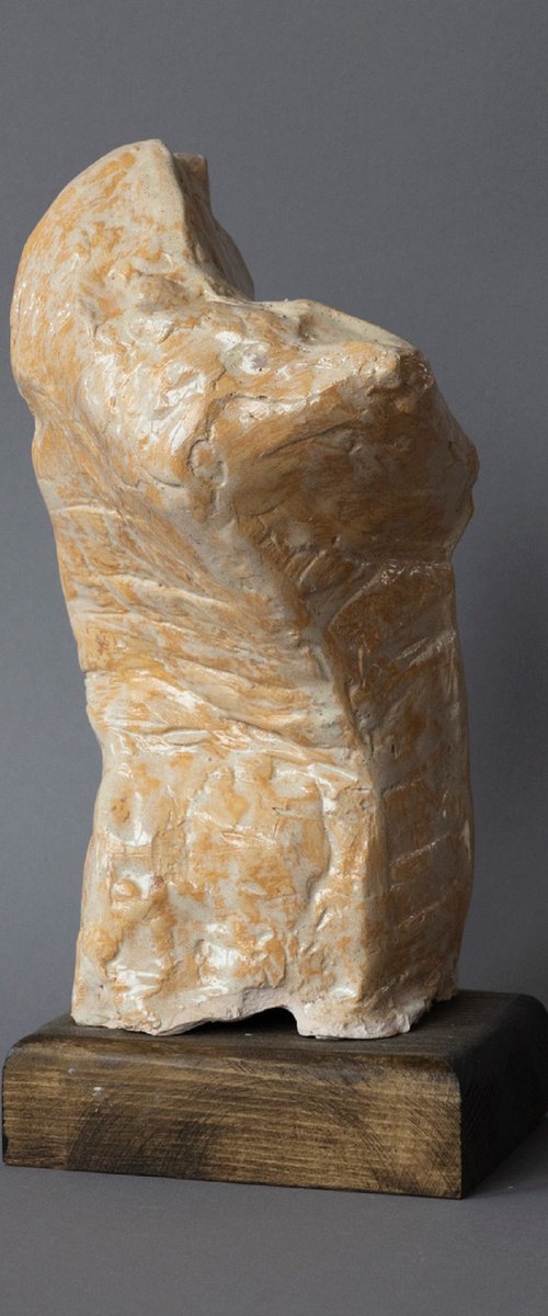 "Male Torso II" by Mira Genova