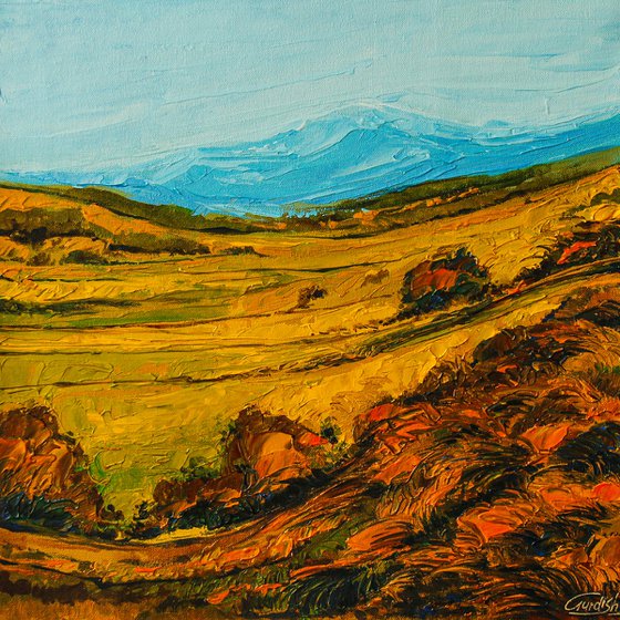 The Vast Landscape