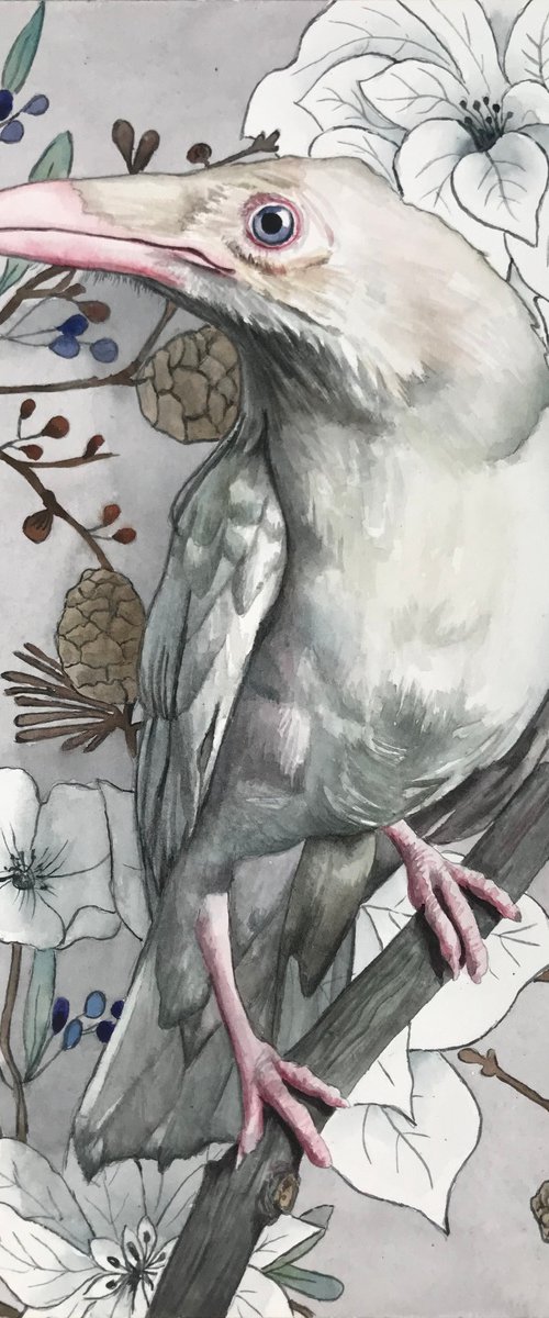 White Raven by Lisa Lennon
