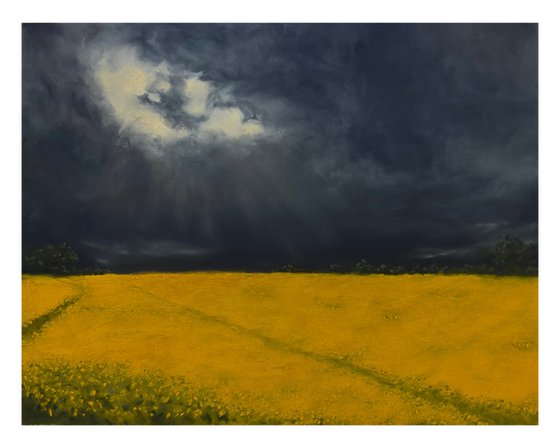 Feld unter Wolken