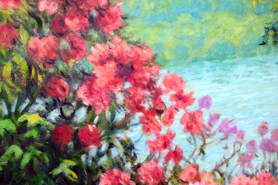Mainau Garden 01.