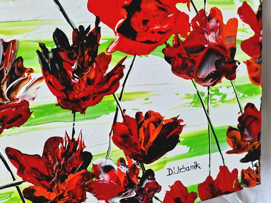 Red Poppies 1